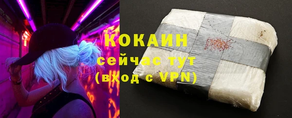мяу мяу мука Алзамай