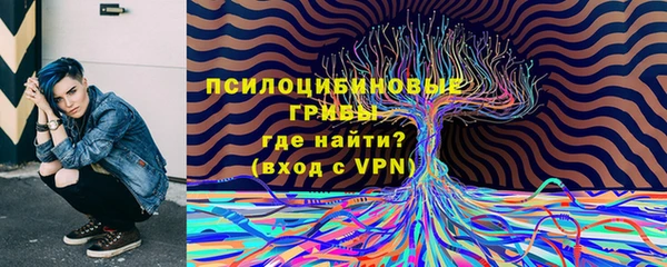 мяу мяу мука Алзамай
