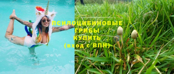 не бодяженный Алексин