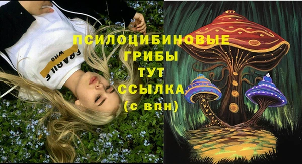 мяу мяу мука Алзамай