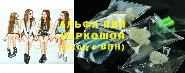 мяу мяу мука Алзамай