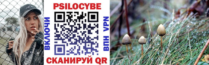 Псилоцибиновые грибы Cubensis  Рыбное 